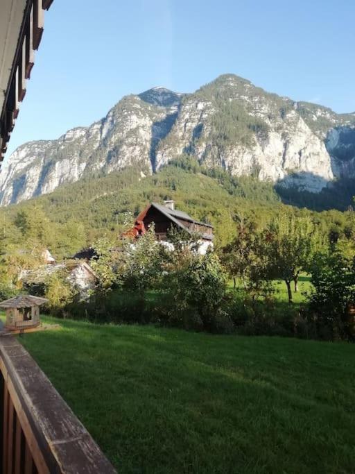 Apartma Traumblick Obertraun Apartment Екстериор снимка